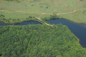 Property photo 32 - 1,025 Acres in 24 Tracts - Exellent Recreation Opportunity - Potential Building Sites - 11 Lakes & Ponds